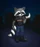 The Moon Raccoon City