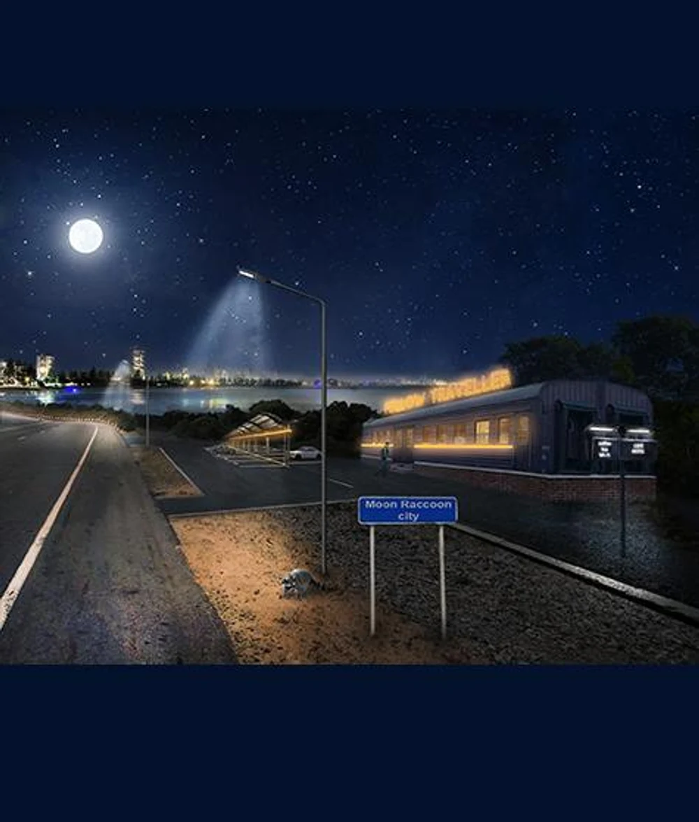 The Moon Raccoon City