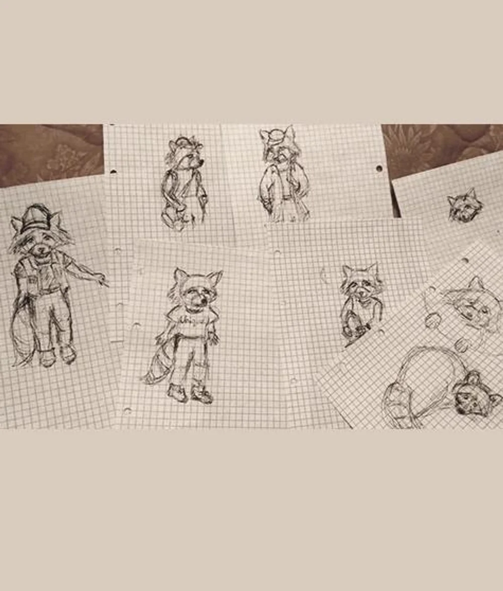 The Moon Raccoon City